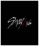 STRAY_KIDS 02_25x30cm.jpg
